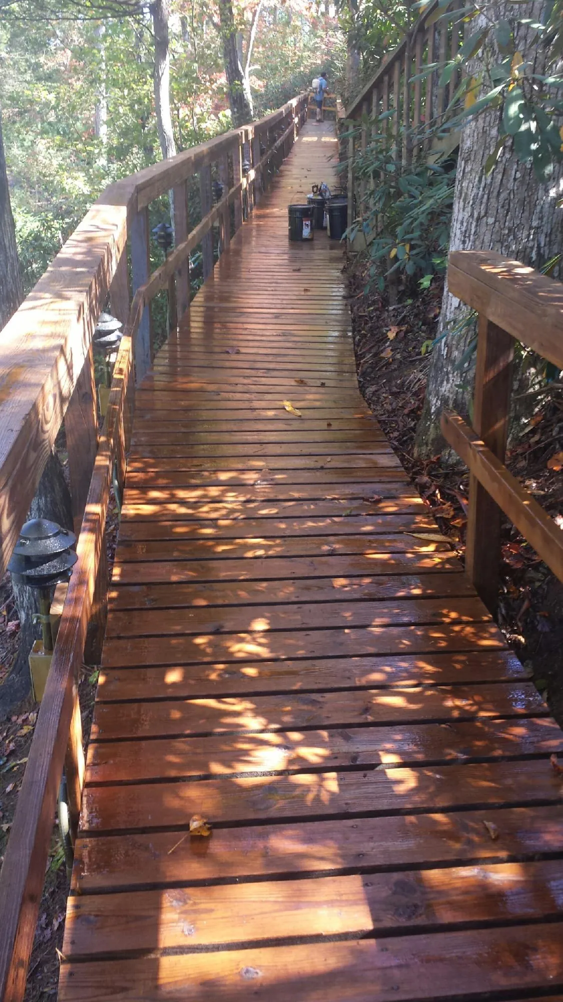 Freshly stained wood walkway winding through the woods in Bluffton